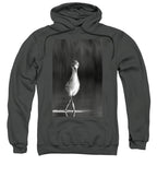 Curious Young Bird Standing in Water - Sweatshirt