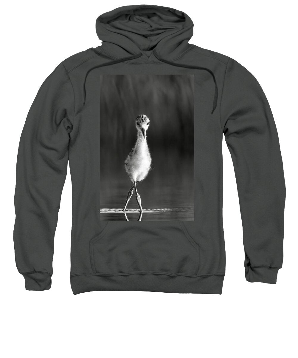 Curious Young Bird Standing in Water - Sweatshirt