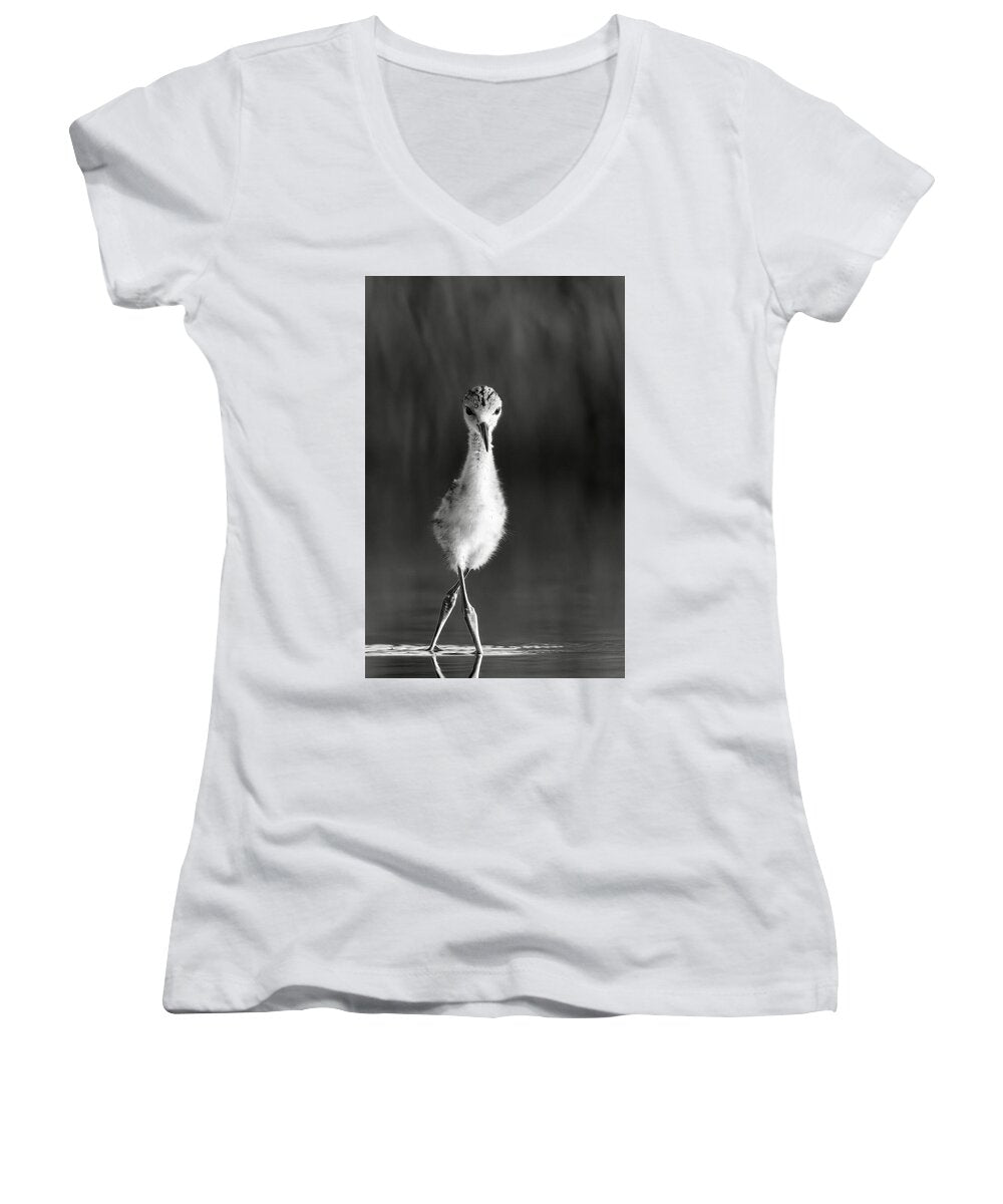 Curious Young Bird Standing in Water - Women's V-Neck