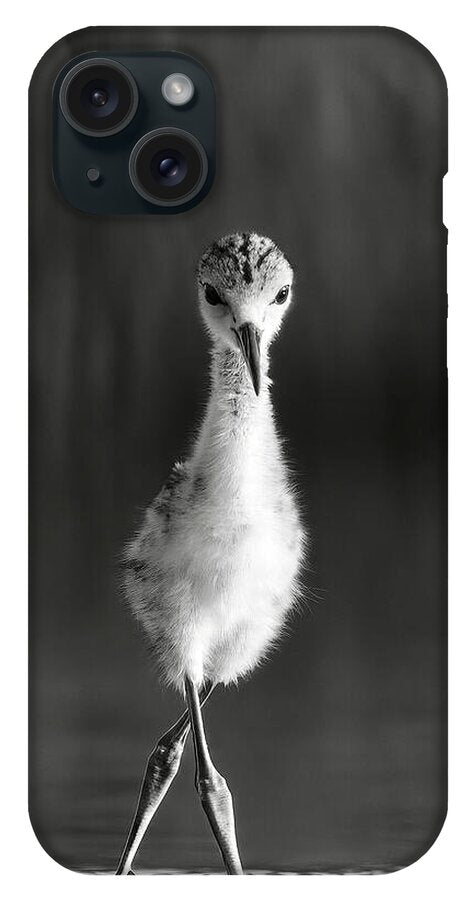 Curious Young Bird Standing in Water - Phone Case
