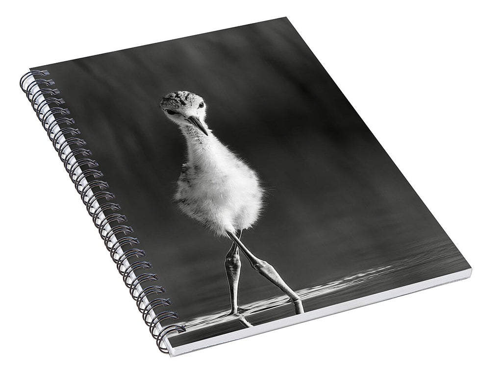 Curious Young Bird Standing in Water - Spiral Notebook