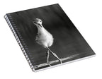 Curious Young Bird Standing in Water - Spiral Notebook