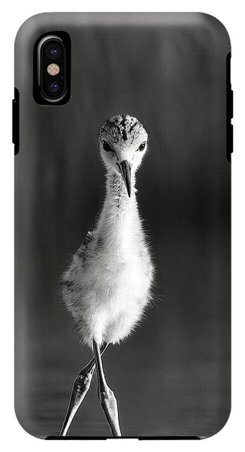 Curious Young Bird Standing in Water - Phone Case