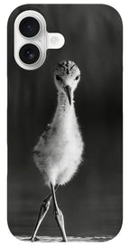 Curious Young Bird Standing in Water - Phone Case