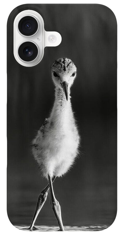 Curious Young Bird Standing in Water - Phone Case