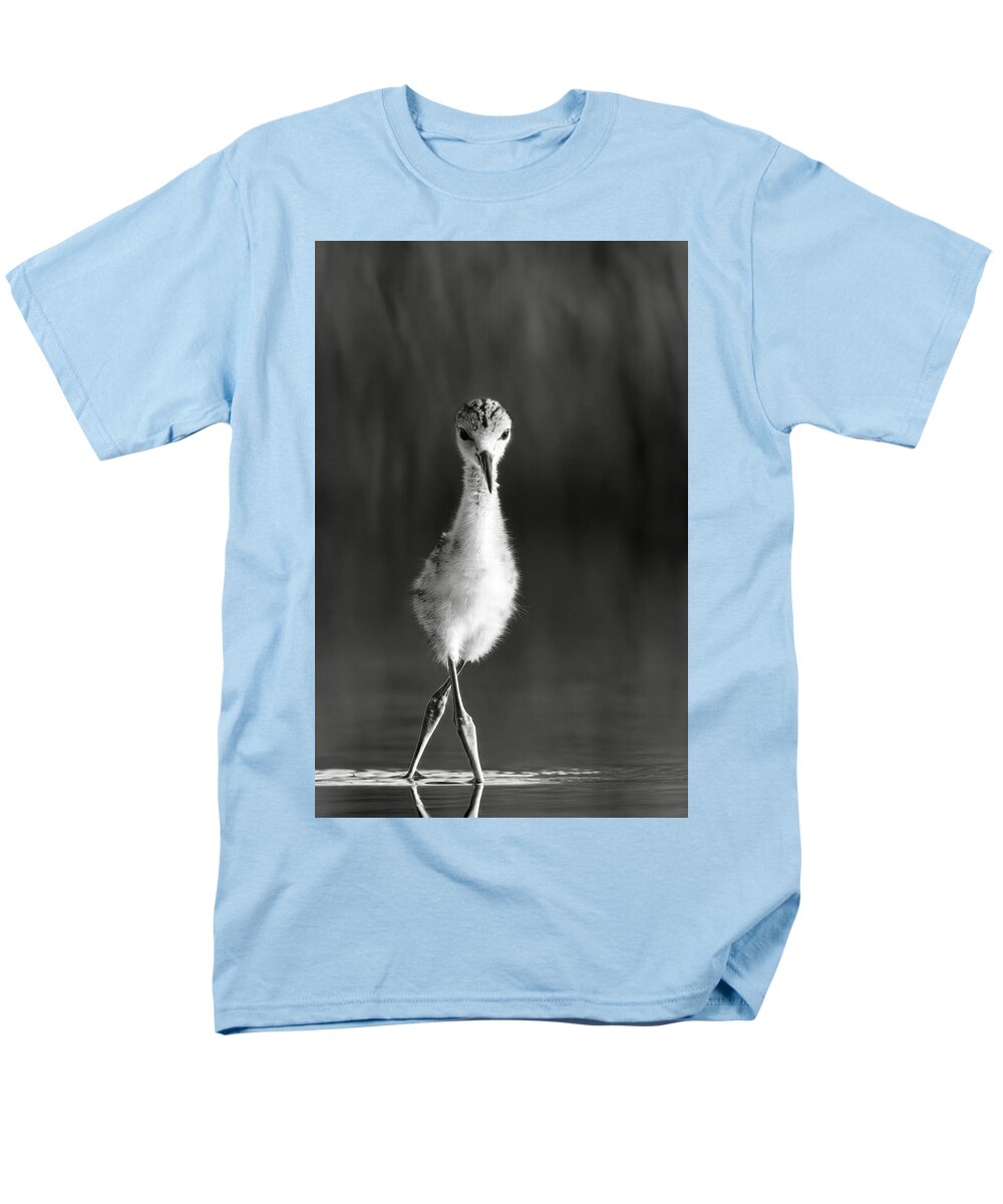 Curious Young Bird Standing in Water - Men's T-Shirt  (Regular Fit)