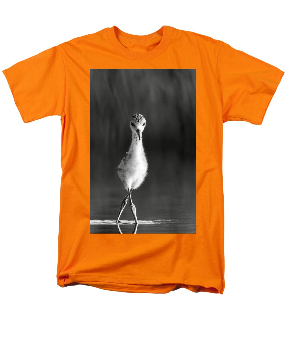 Curious Young Bird Standing in Water - Men's T-Shirt  (Regular Fit)