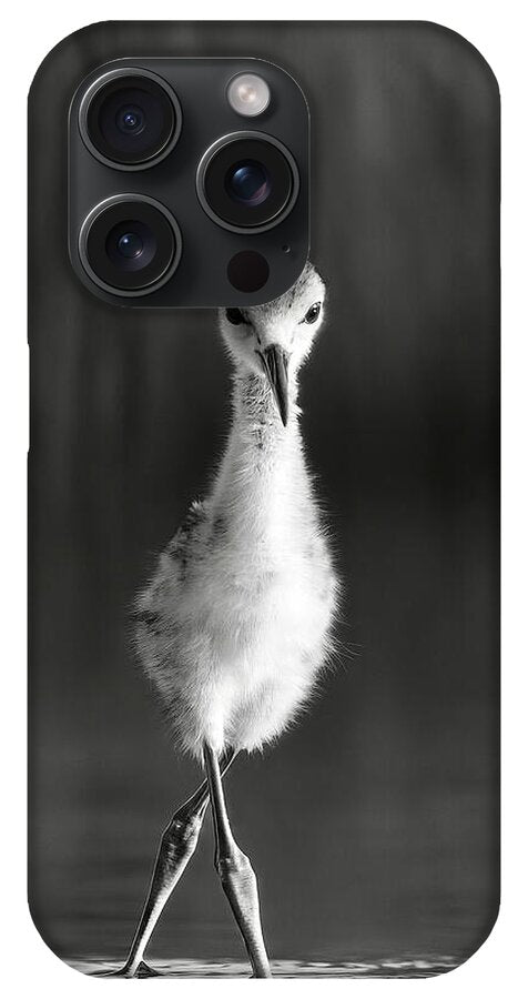 Curious Young Bird Standing in Water - Phone Case