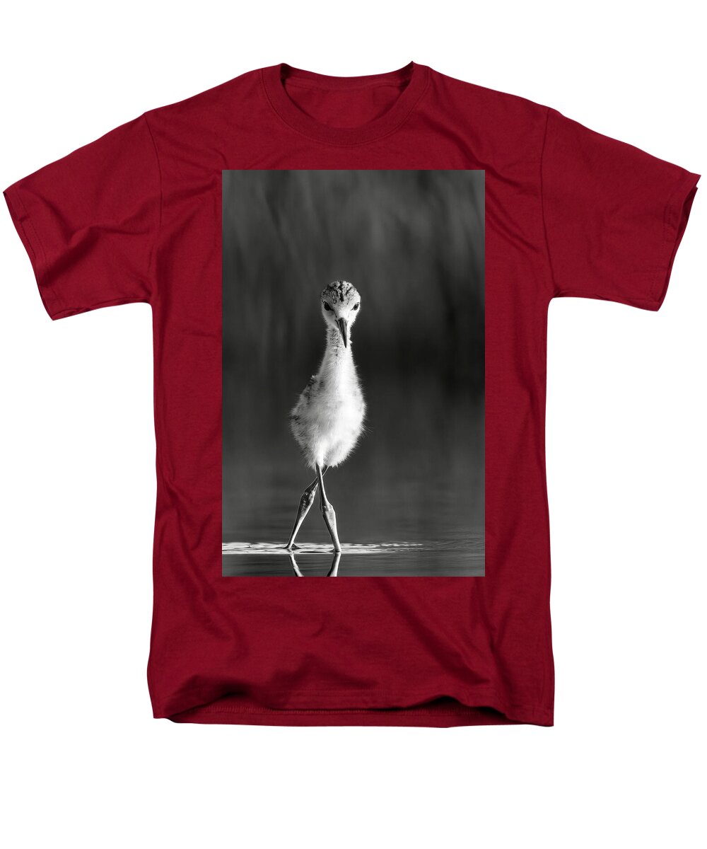 Curious Young Bird Standing in Water - Men's T-Shirt  (Regular Fit)