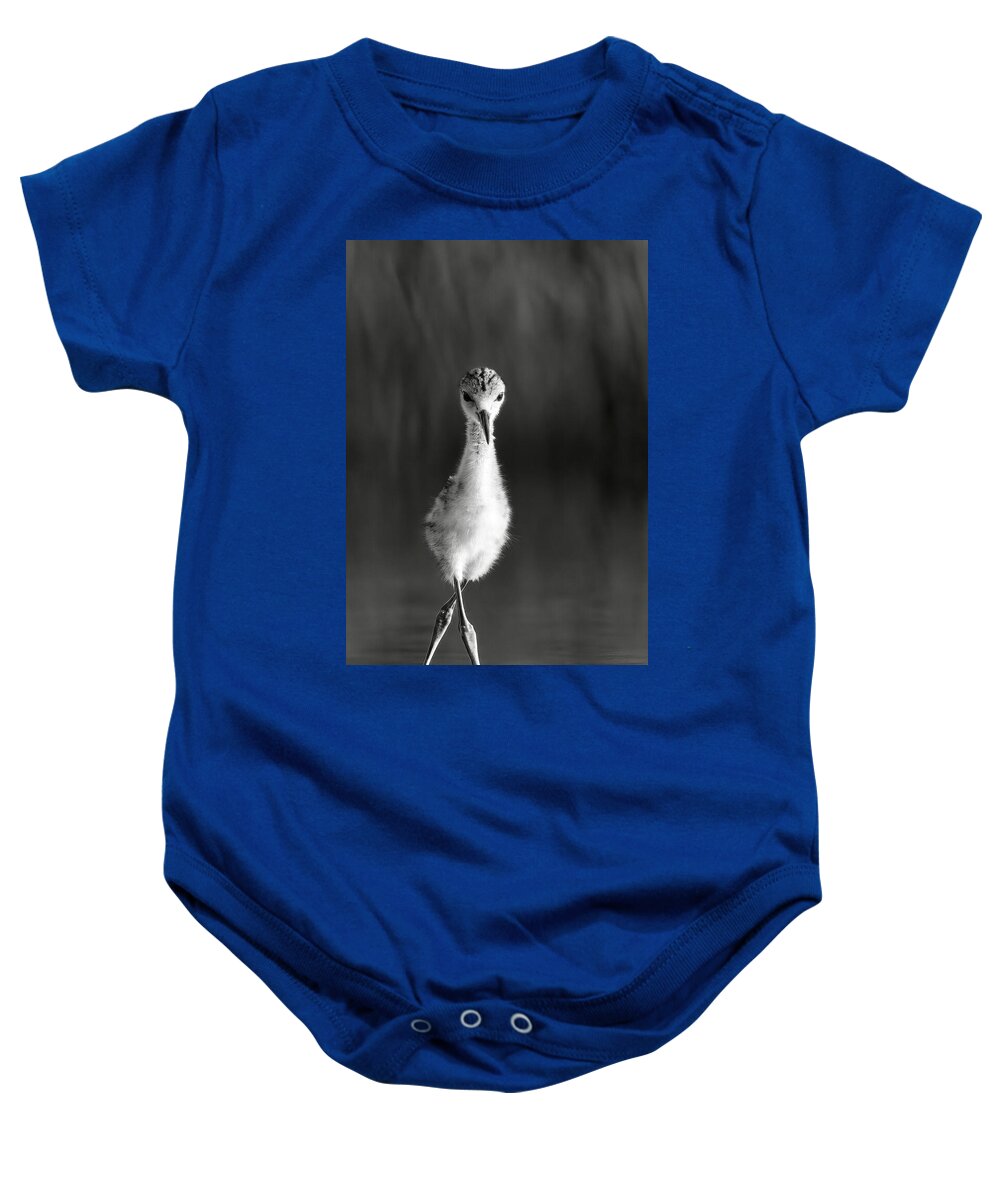 Curious Young Bird Standing in Water - Baby One-Piece