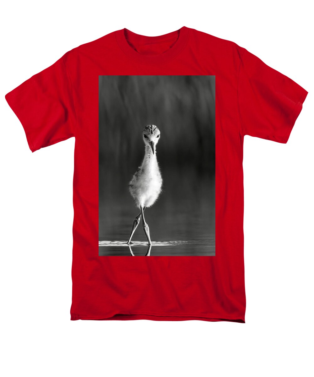 Curious Young Bird Standing in Water - Men's T-Shirt  (Regular Fit)