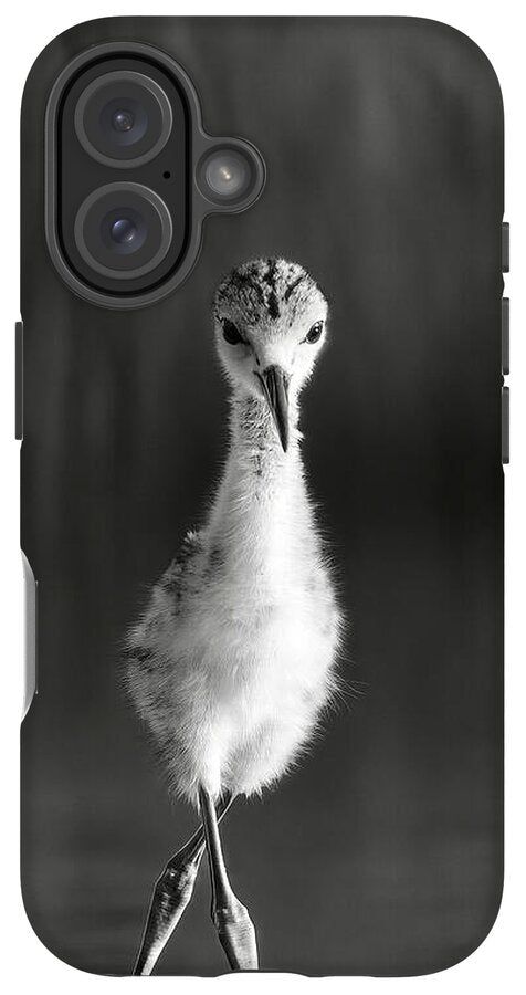 Curious Young Bird Standing in Water - Phone Case