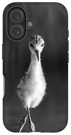 Curious Young Bird Standing in Water - Phone Case