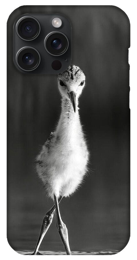 Curious Young Bird Standing in Water - Phone Case
