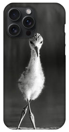 Curious Young Bird Standing in Water - Phone Case