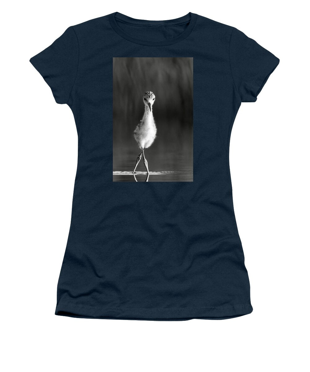Curious Young Bird Standing in Water - Women's T-Shirt