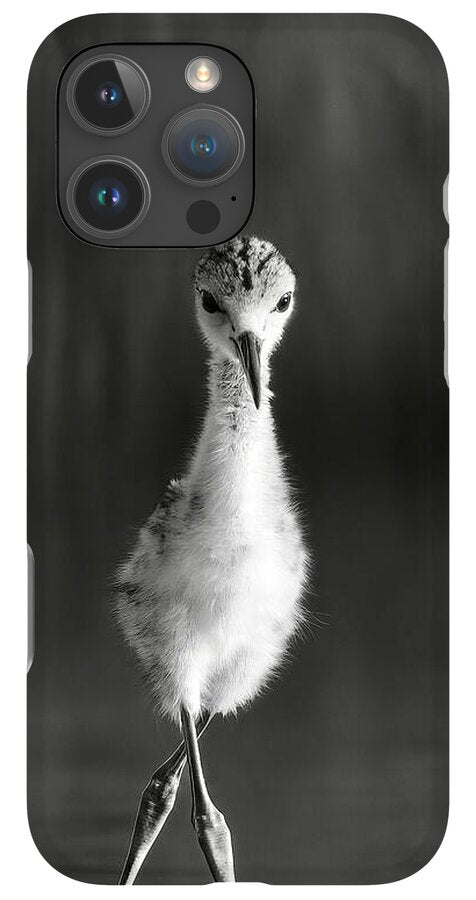 Curious Young Bird Standing in Water - Phone Case