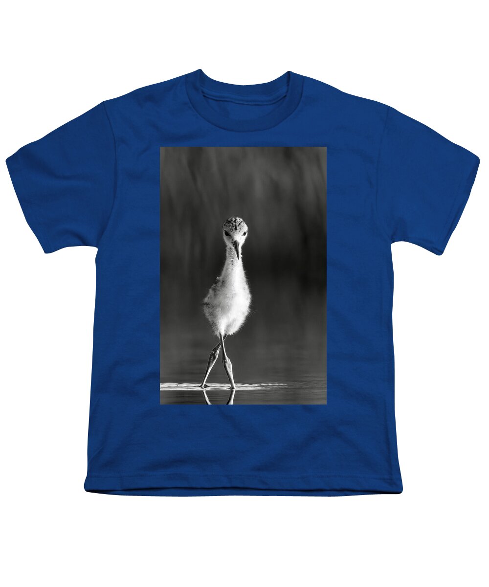Curious Young Bird Standing in Water - Youth T-Shirt