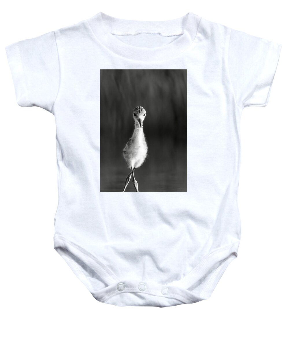 Curious Young Bird Standing in Water - Baby One-Piece