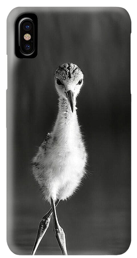 Curious Young Bird Standing in Water - Phone Case
