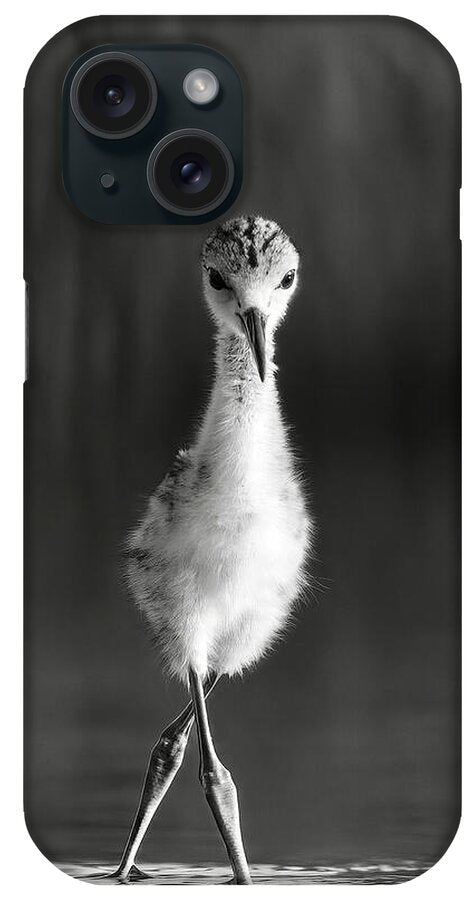 Curious Young Bird Standing in Water - Phone Case