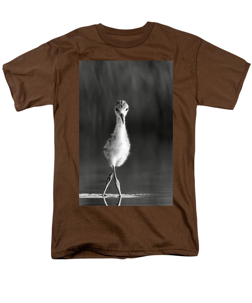 Curious Young Bird Standing in Water - Men's T-Shirt  (Regular Fit)