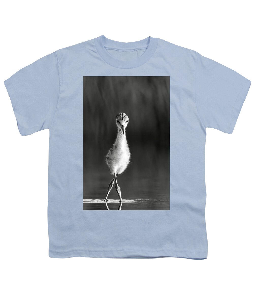 Curious Young Bird Standing in Water - Youth T-Shirt