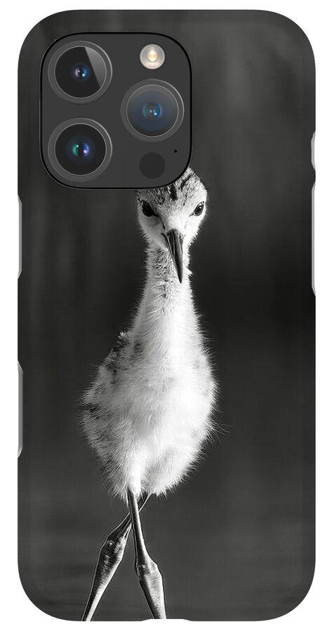 Curious Young Bird Standing in Water - Phone Case