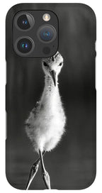 Curious Young Bird Standing in Water - Phone Case