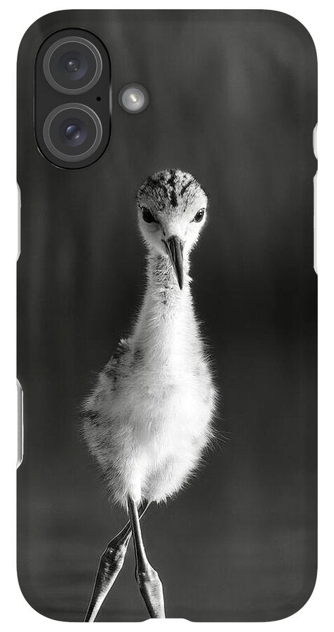 Curious Young Bird Standing in Water - Phone Case