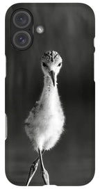 Curious Young Bird Standing in Water - Phone Case