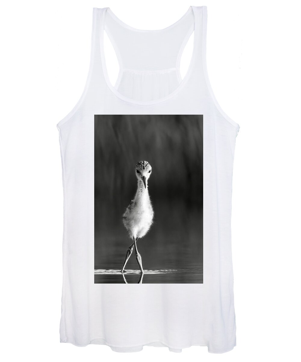 Curious Young Bird Standing in Water - Women's Tank Top