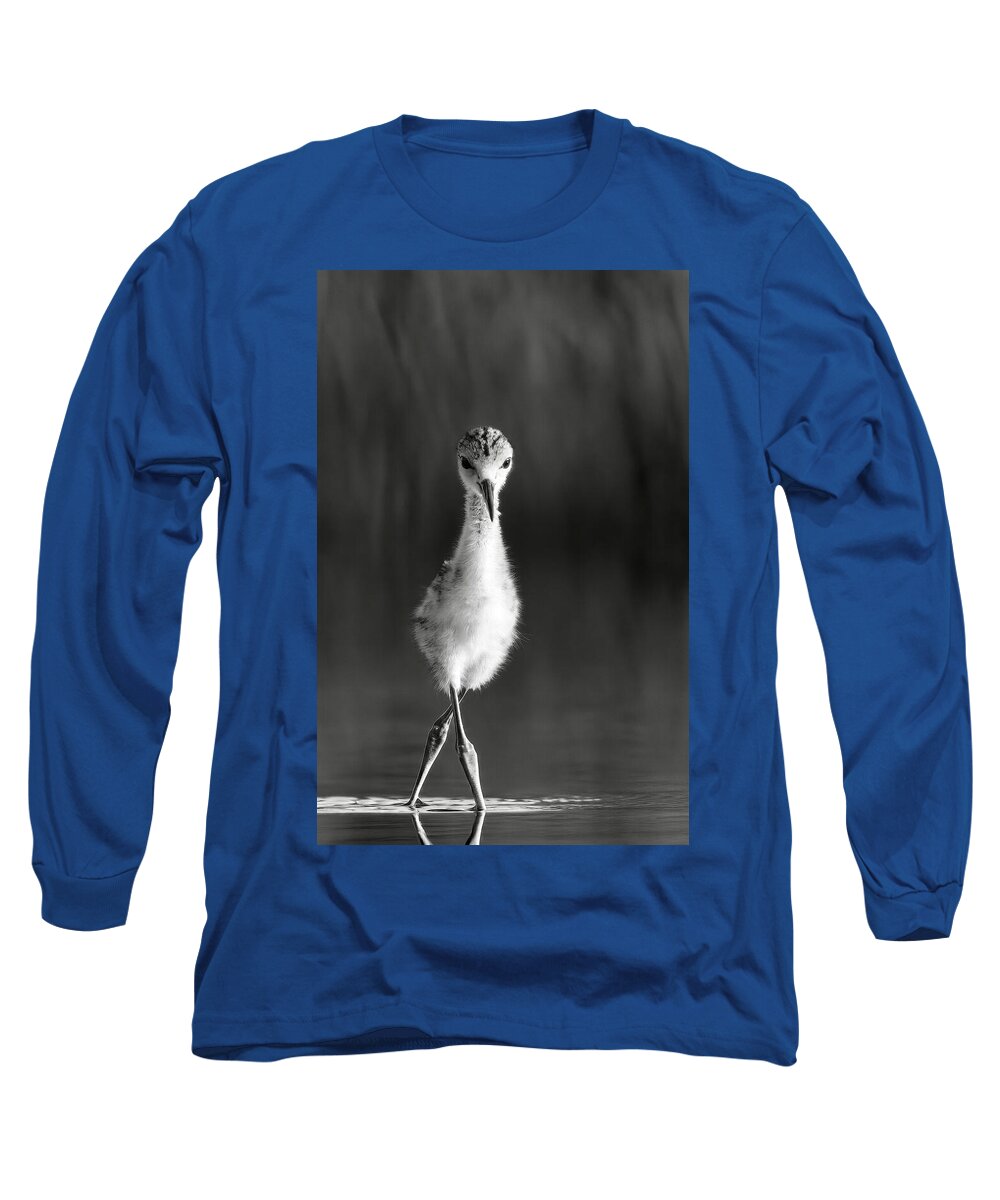 Curious Young Bird Standing in Water - Long Sleeve T-Shirt