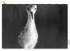 Curious Young Bird Standing in Water - Zip Pouch