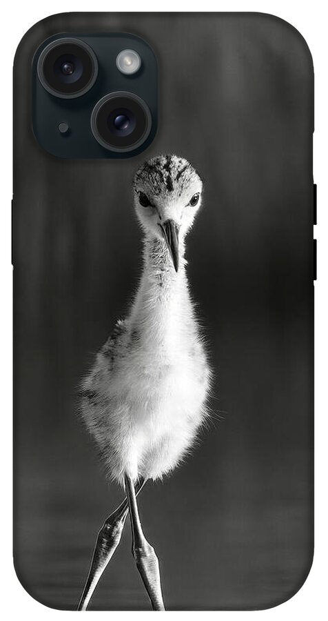 Curious Young Bird Standing in Water - Phone Case