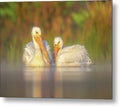 Dream Team - Metal Print