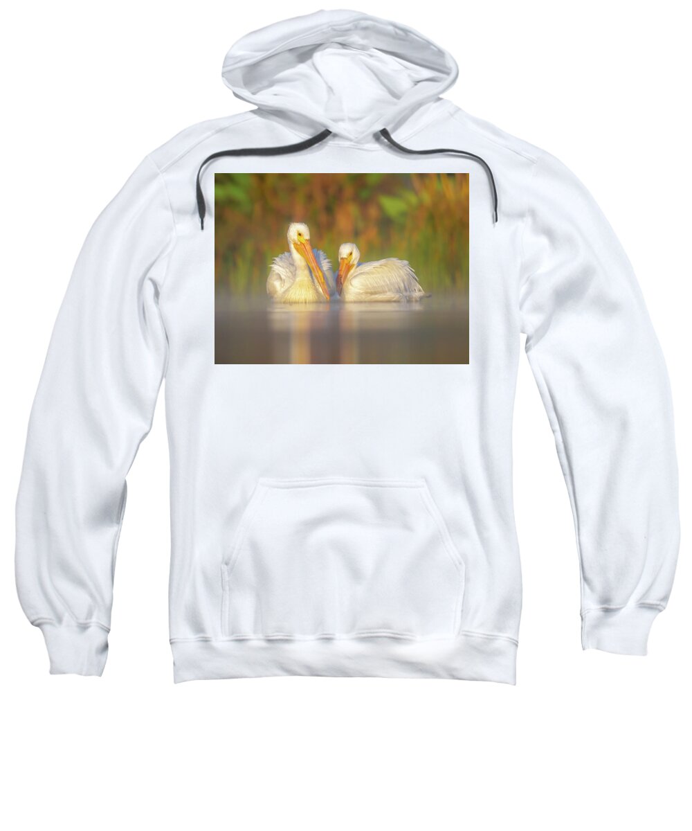 Dream Team - Sweatshirt