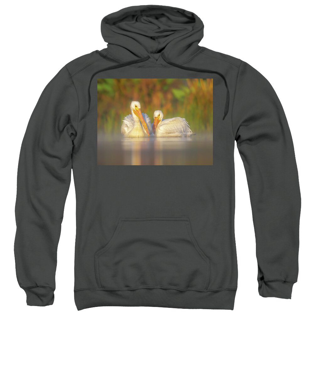 Dream Team - Sweatshirt