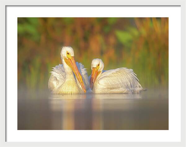 Dream Team - Framed Print