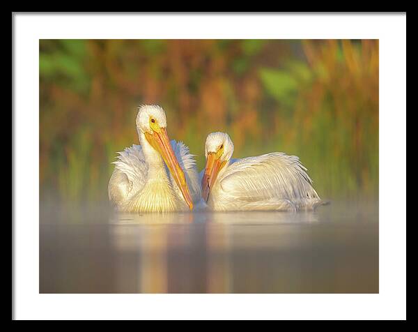 Dream Team - Framed Print