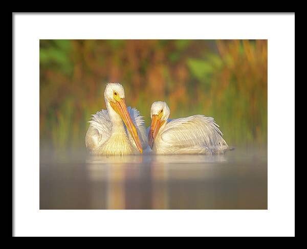 Dream Team - Framed Print