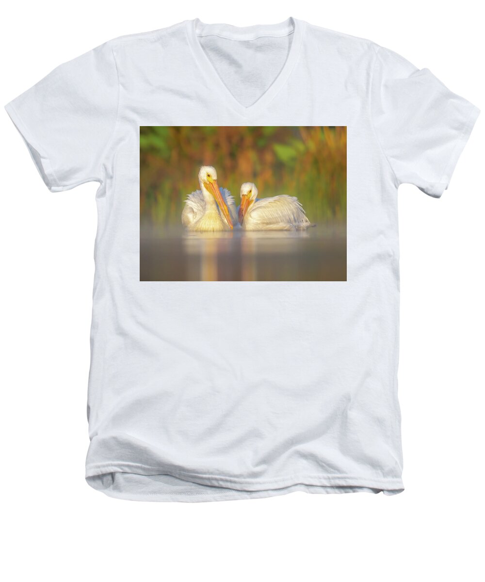 Dream Team - Men's V-Neck T-Shirt