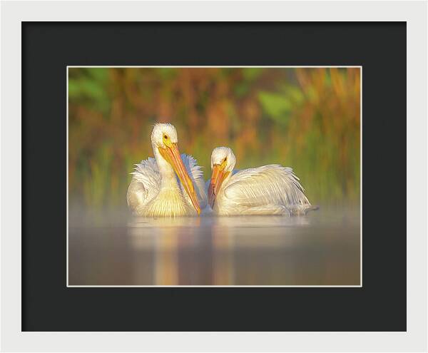 Dream Team - Framed Print