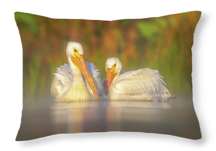 Dream Team - Throw Pillow