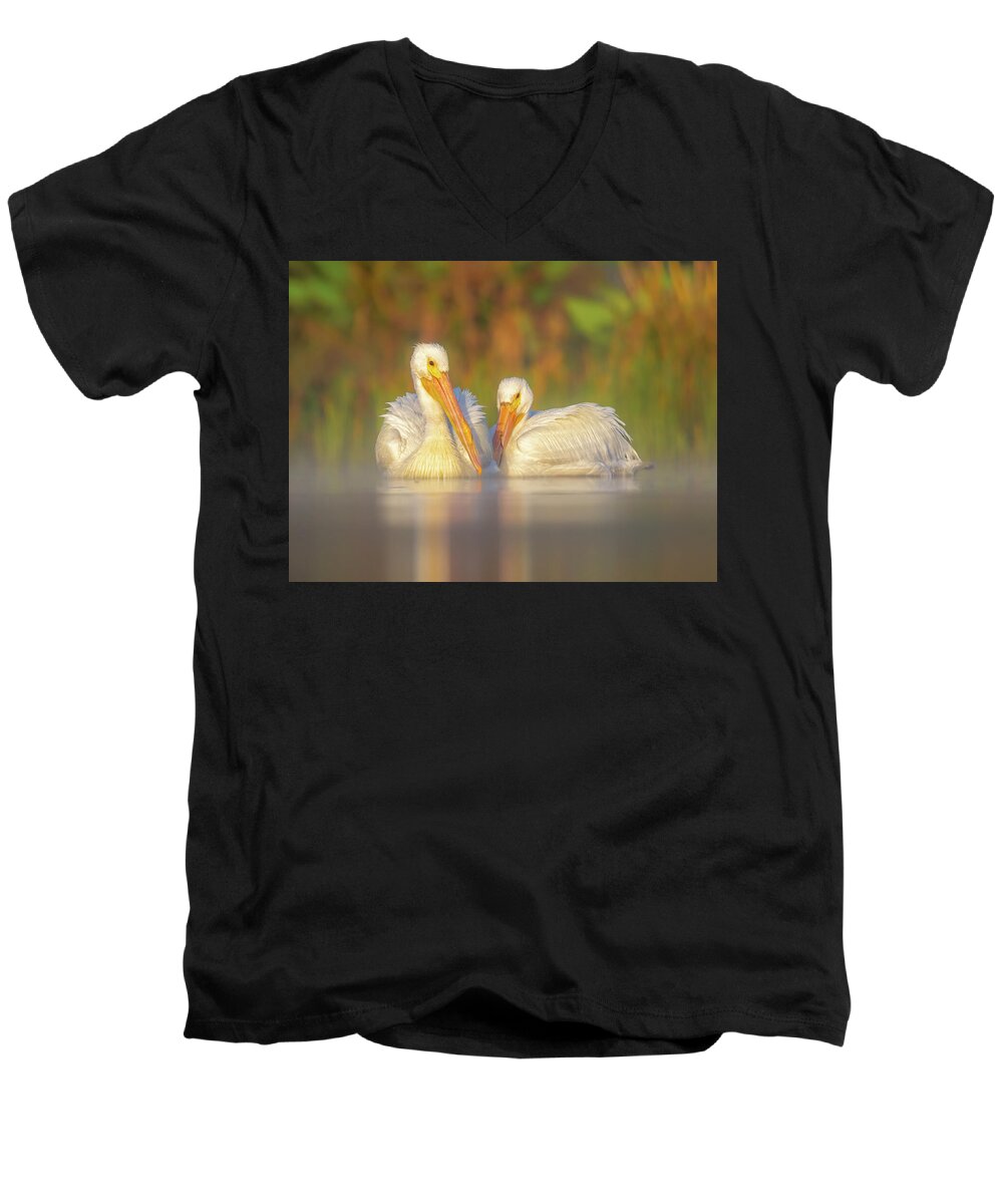 Dream Team - Men's V-Neck T-Shirt