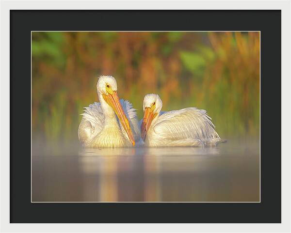 Dream Team - Framed Print