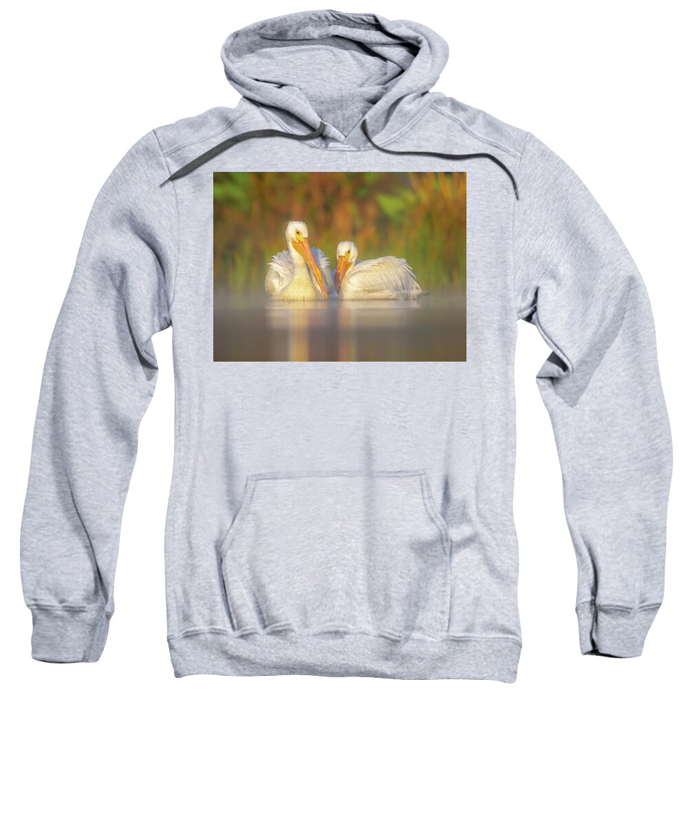 Dream Team - Sweatshirt