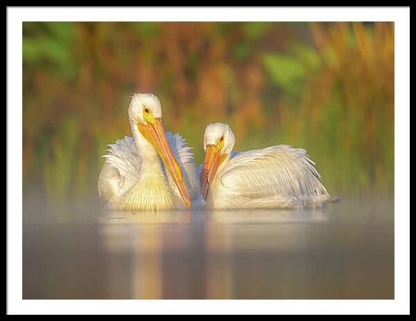 Dream Team - Framed Print