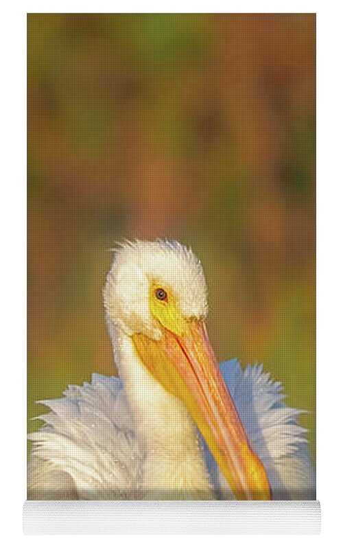 Dream Team - Yoga Mat