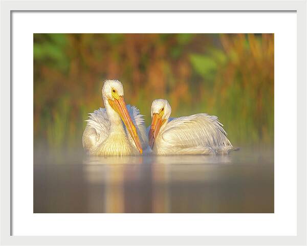 Dream Team - Framed Print